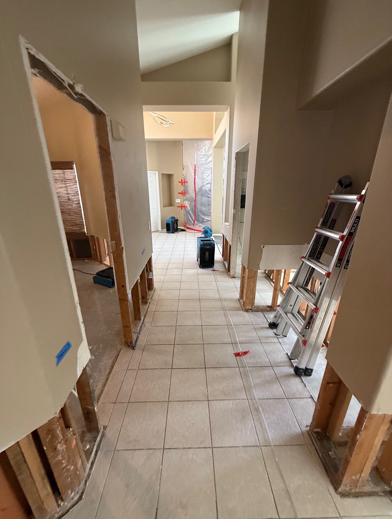 Mold mitigation project